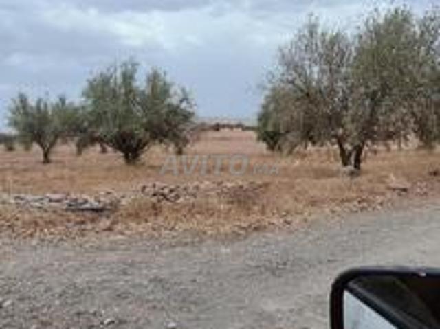 Propriété vente à Ouarzazate