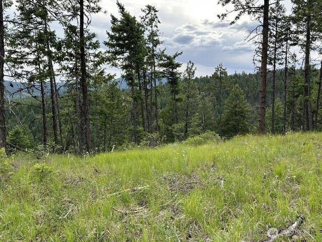 Land for sale in Republic, Ferry County