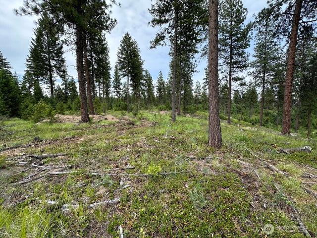 Land for sale in Republic, Ferry County