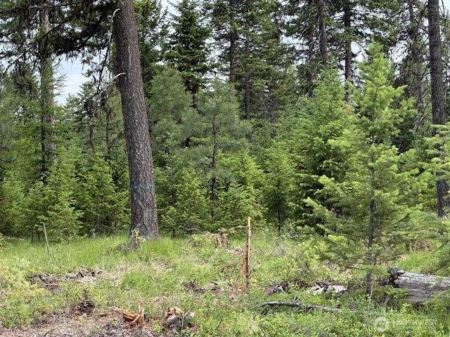 Land for sale in Republic, Ferry County