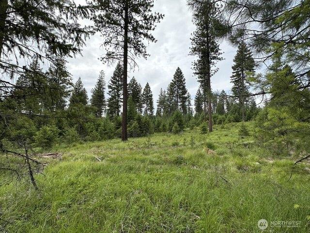 Land for sale in Republic, Ferry County