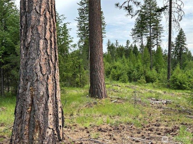 Land for sale in Republic, Ferry County