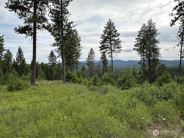 Land for sale in Republic, Ferry County
