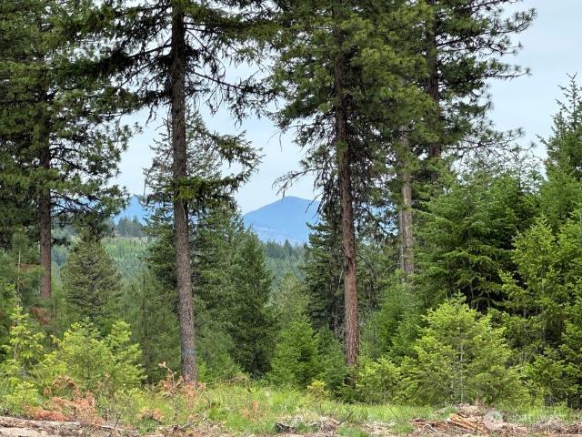 Land for sale in Republic, Ferry County
