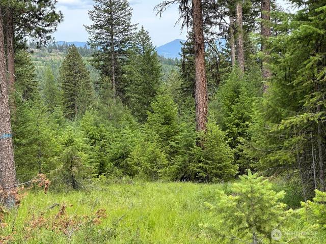 Land for sale in Republic, Ferry County