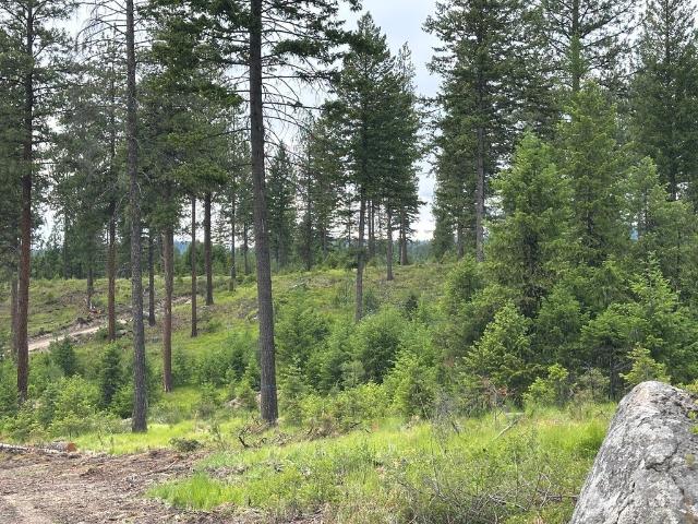Land for sale in Republic, Ferry County