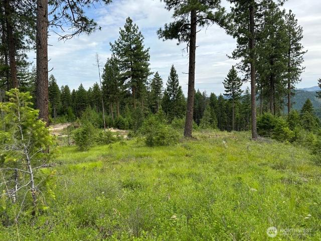 Land for sale in Republic, Ferry County