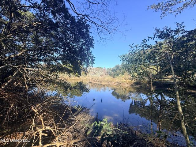 Land for sale in Gautier, Mississippi