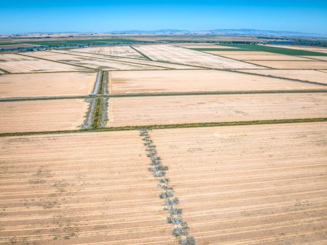 Land for sale in Walnut Grove, California