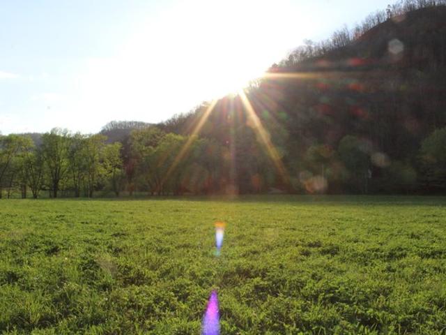 Farm for sale in Irvine, Kentucky