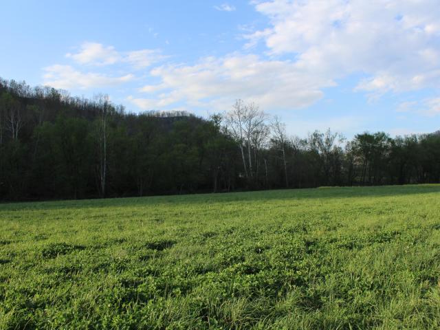 Farm for sale in Irvine, Kentucky