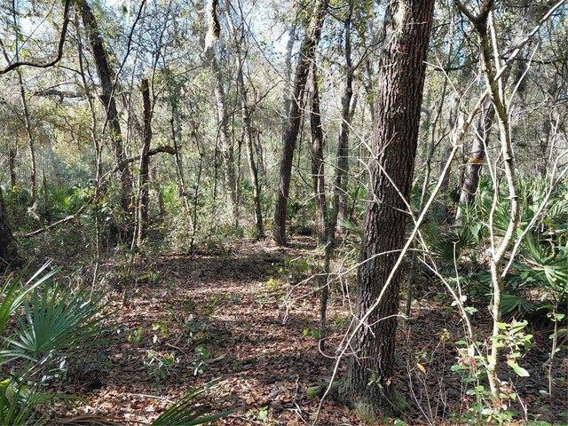 Land for sale in Webster, Florida