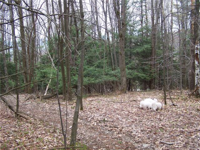Land for sale in Binghamton, New York