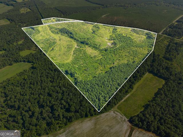 Land for sale in Millen, Georgia