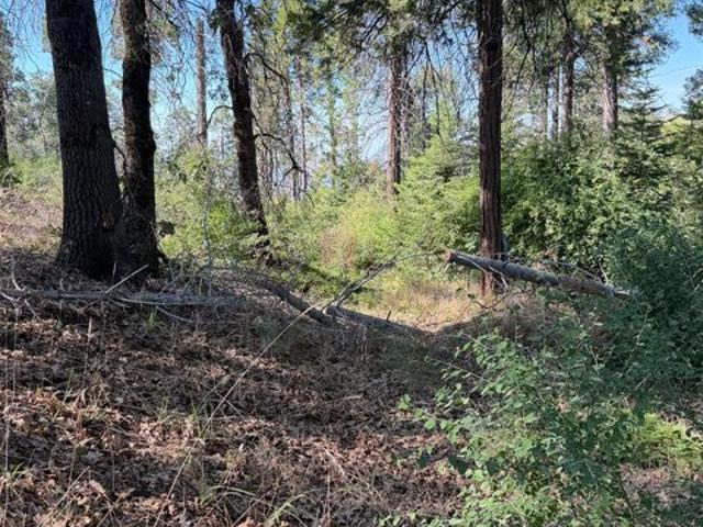 Land for sale in Shaver Lake, California