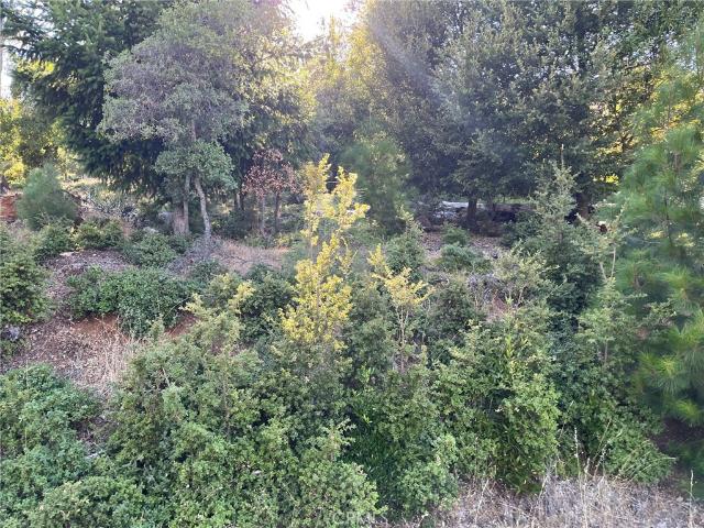 Land for sale in Lake, California