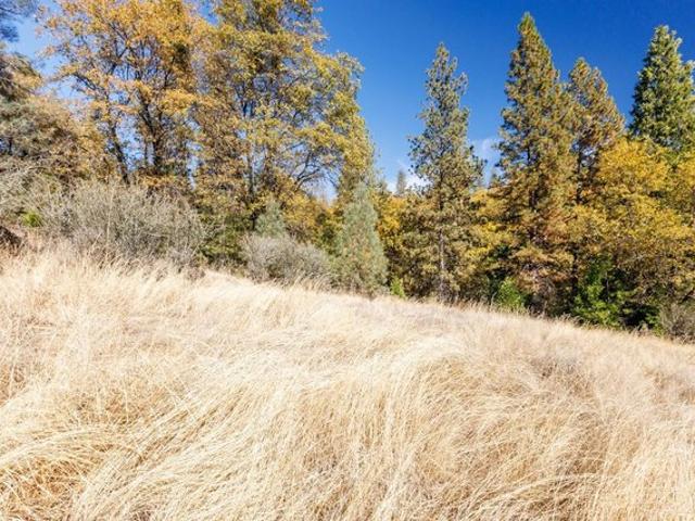 Land for sale in Camino, California