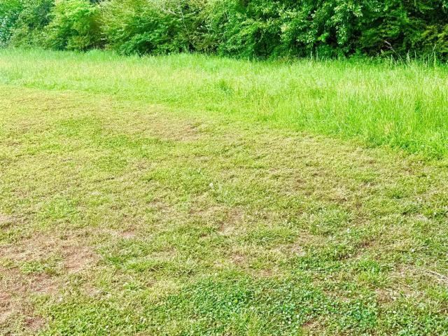 House for sale in Decatur, Alabama