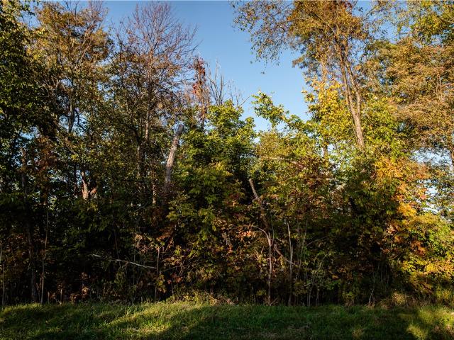 Farm for sale in South Fayette Township, Allegheny County