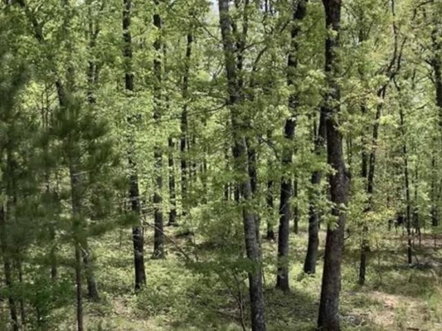 Land for sale in Springville, Alabama