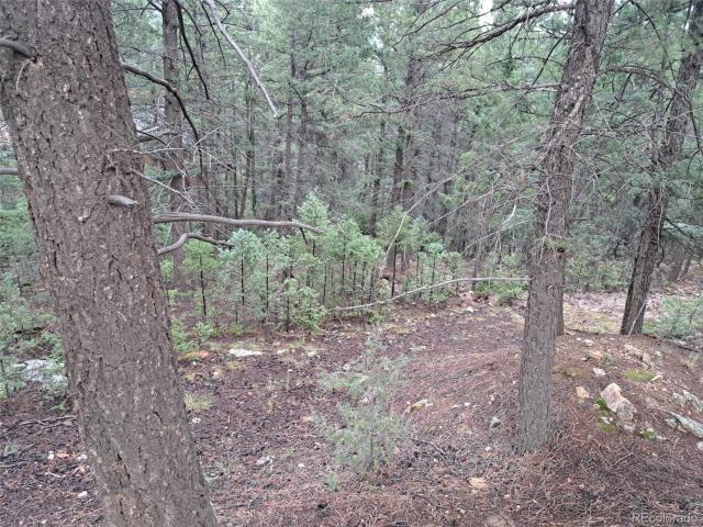 Land for sale in Bailey, Park County