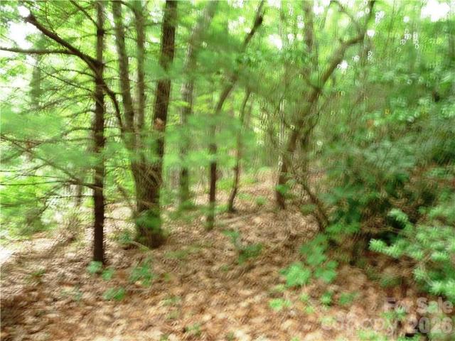 Land for sale in East Flat Rock, North Carolina