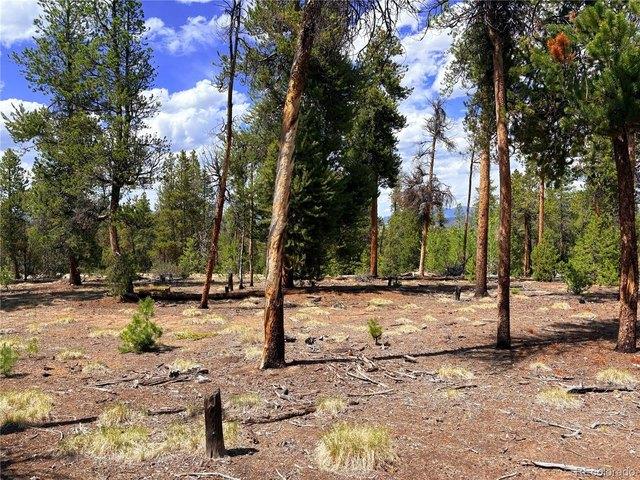 Land for sale in Leadville, Colorado