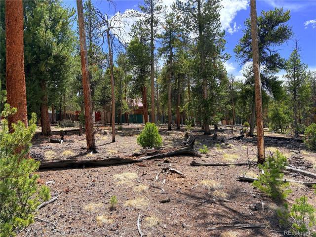 Land for sale in Leadville, Colorado