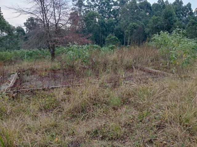 Land for sale in Kwazulu-natal