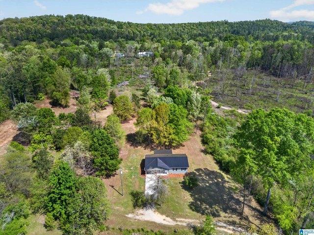 House for sale in Ohatchee, Alabama