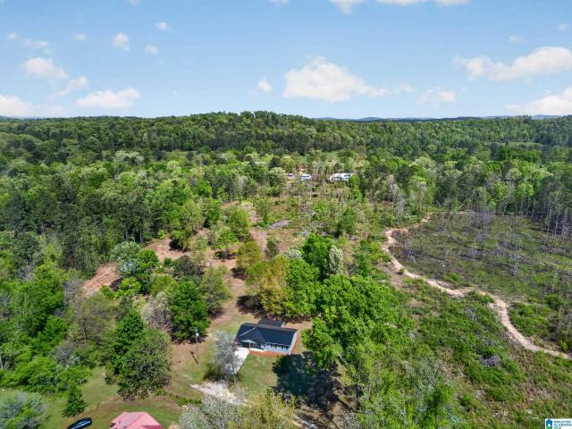 House for sale in Ohatchee, Alabama