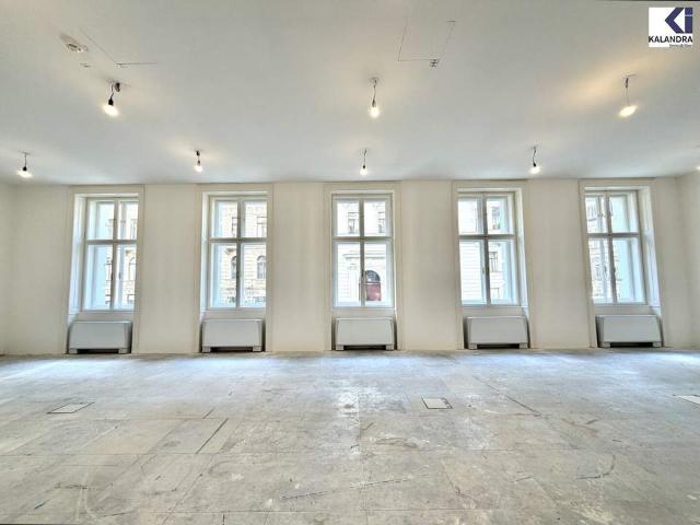 Gewerbe mieten in Innere Stadt, Wien