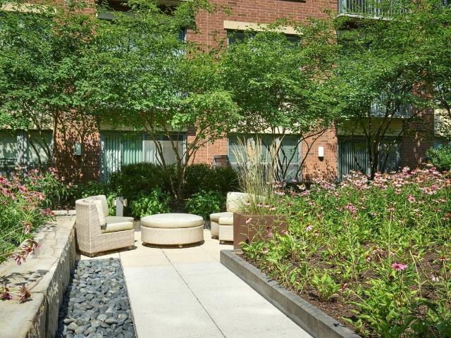 Apartment for rent in Washington, Washington DC