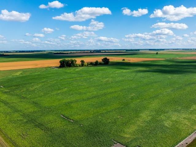 Land for sale in Argyle, Minnesota