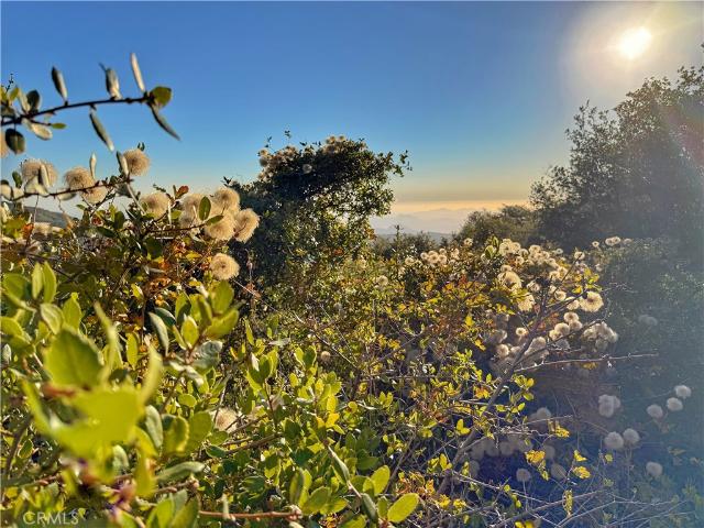 Land for sale in Julian, California
