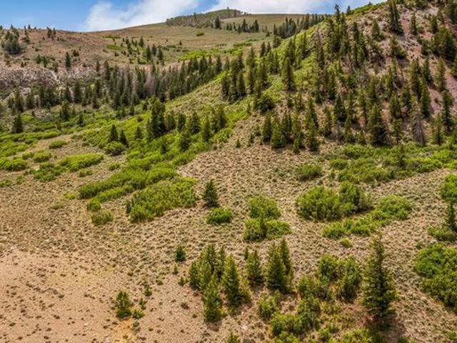House for sale in Montrose, Colorado
