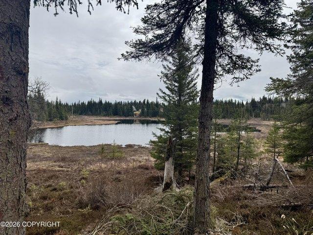 Land for sale in Anchor Point