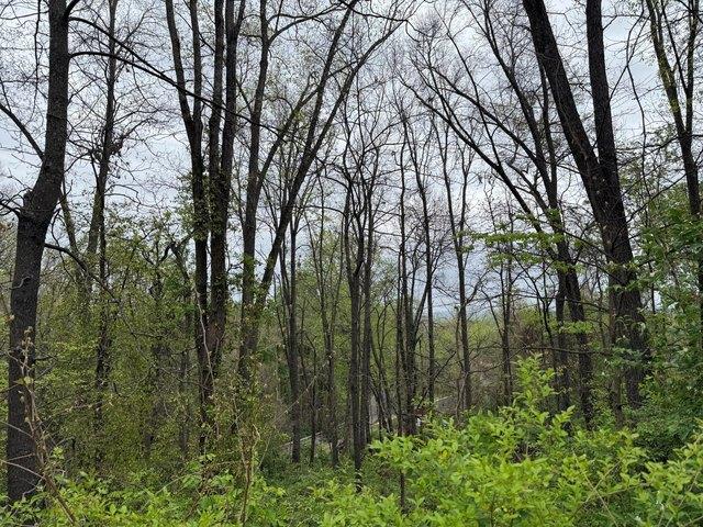 Land for sale in Tennessee