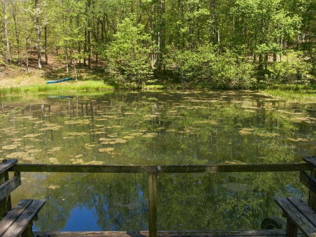 House for sale in Cornelia, Georgia
