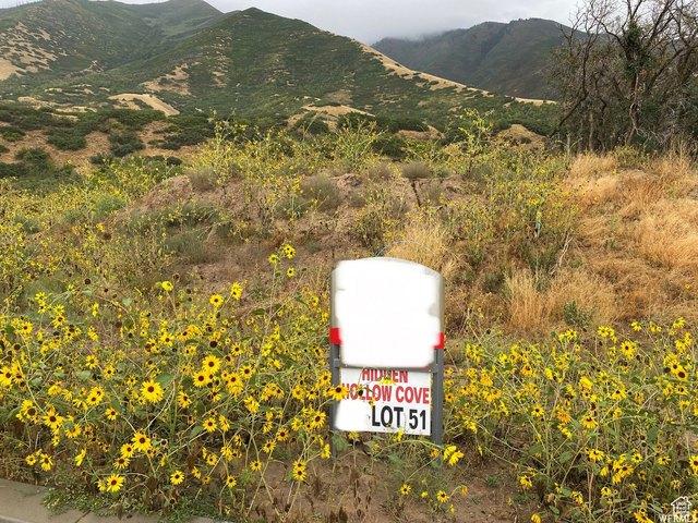 Land for sale in Mapleton, Utah
