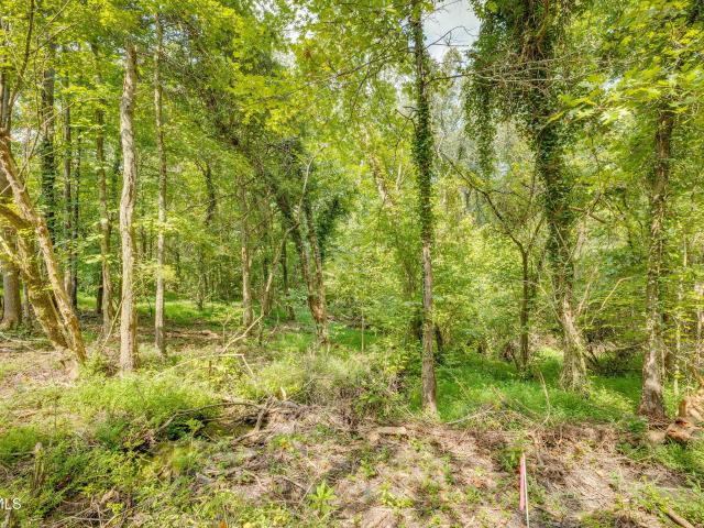 Land for sale in Tennessee
