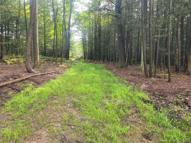 Land for sale in Claryville, New York