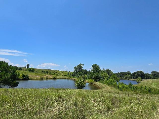 Ranch for sale in Georgia
