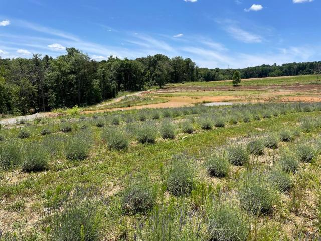Ranch for sale in Tennessee