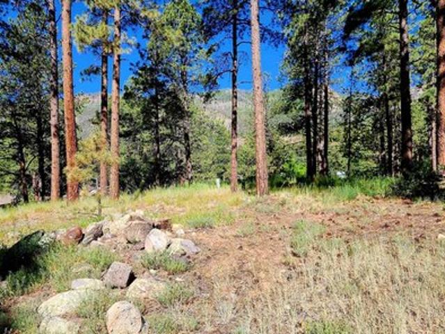 Land for sale in La Plata, Colorado