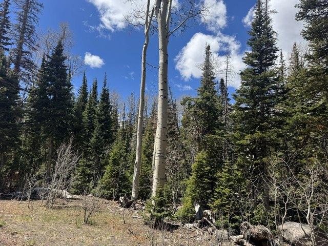 Land for sale in Brian Head, Utah
