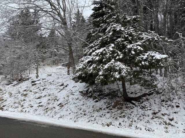 Land for sale in Snowshoe, West Virginia