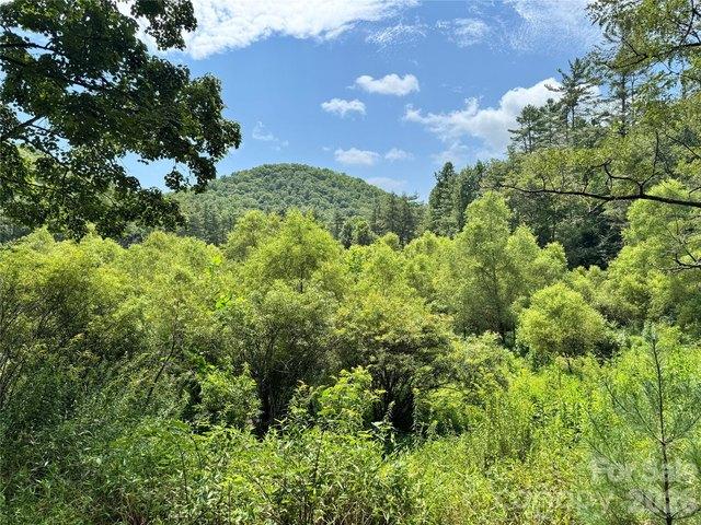 Land for sale in Brevard, Transylvania County