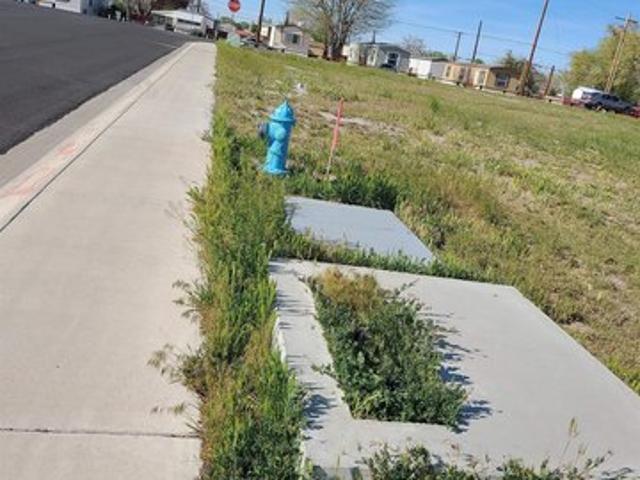 Land for sale in Fallon, Nevada
