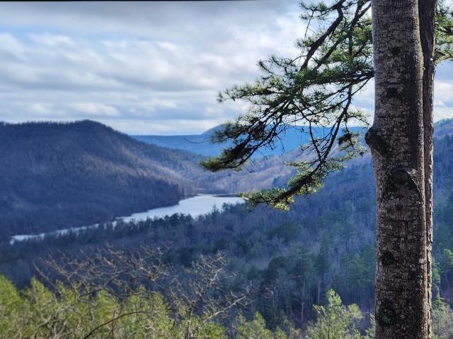Land for sale in Lakemont, Georgia